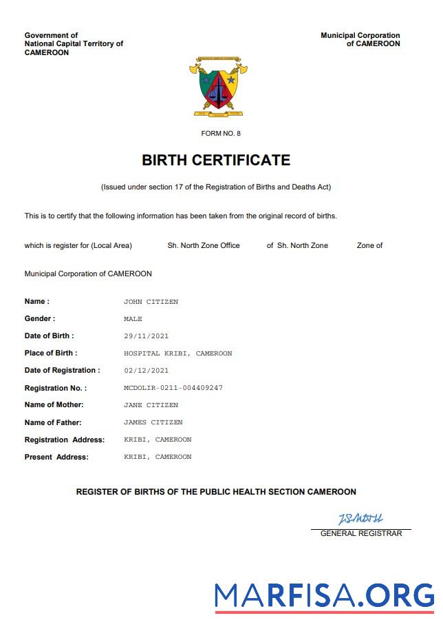 Blank Cameroon vital record birth certificate Word and PDF template